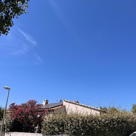 Villa Des Romieux Pinet  外观 照片